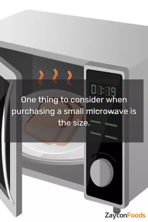 Can-You-Power-A-Microwave-From-Your-Car-4